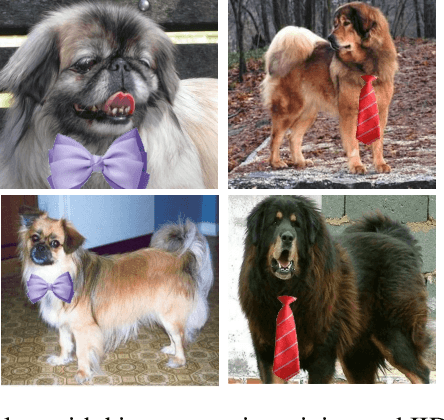 Figure 2 for Explanation is All You Need in Distillation: Mitigating Bias and Shortcut Learning