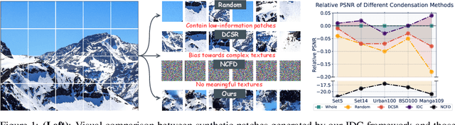 Figure 1 for Instance Data Condensation for Image Super-Resolution