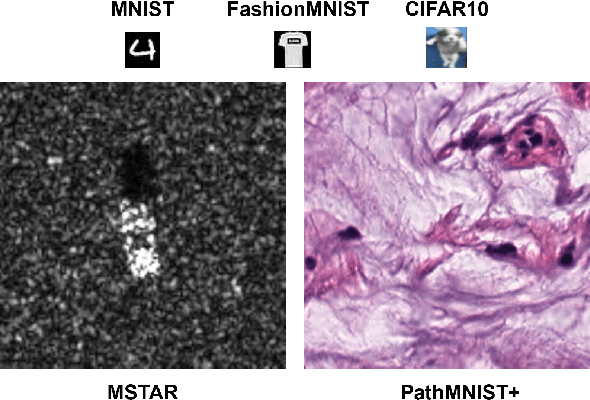 Figure 1 for Noise-Tolerant Coreset-Based Class Incremental Continual Learning