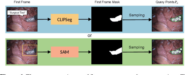 Figure 1 for Real-time Surgical Instrument Segmentation in Video Using Point Tracking and Segment Anything