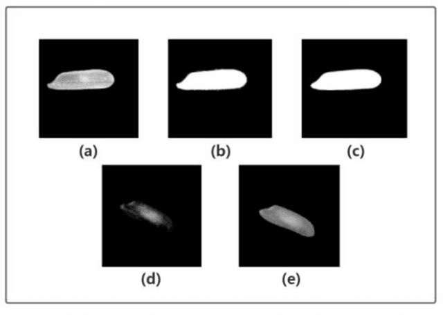 Figure 3 for An Overall Real-Time Mechanism for Classification and Quality Evaluation of Rice
