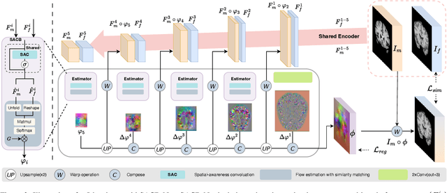 Figure 3 for SACB-Net: Spatial-awareness Convolutions for Medical Image Registration