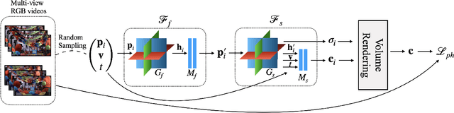 Figure 2 for Factorized Motion Fields for Fast Sparse Input Dynamic View Synthesis