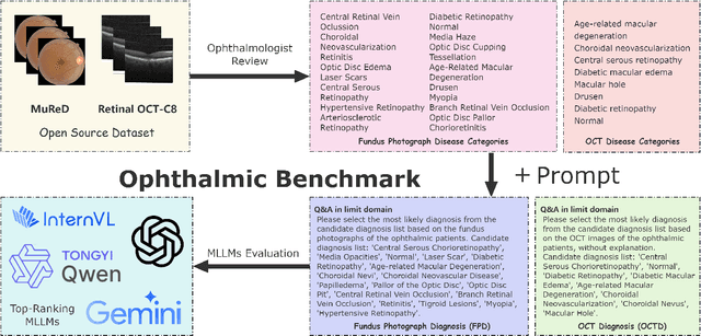 Figure 2 for A Novel Ophthalmic Benchmark for Evaluating Multimodal Large Language Models with Fundus Photographs and OCT Images