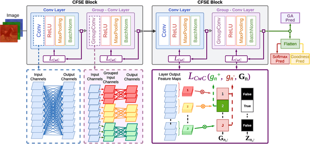 Figure 1 for Convolutional Channel-wise Competitive Learning for the Forward-Forward Algorithm