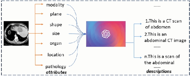 Figure 3 for MISS: A Generative Pretraining and Finetuning Approach for Med-VQA