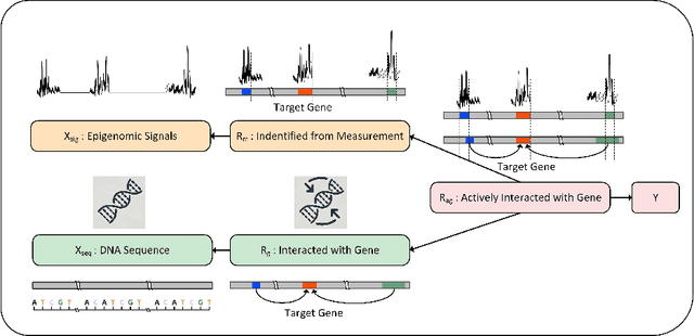 Figure 1 for Learning to Discover Regulatory Elements for Gene Expression Prediction