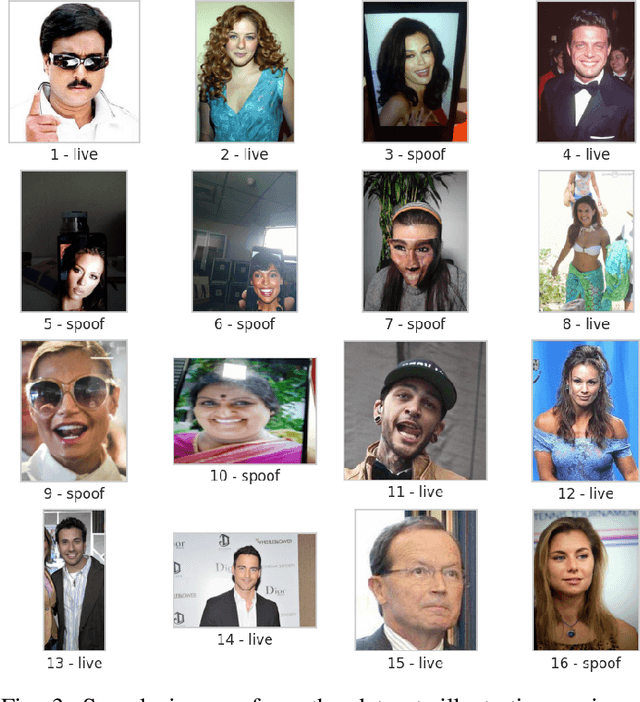 Figure 3 for Liveness Detection in Computer Vision: Transformer-based Self-Supervised Learning for Face Anti-Spoofing
