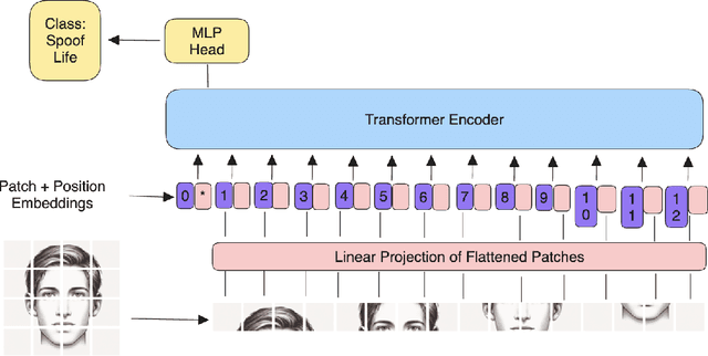 Figure 4 for Liveness Detection in Computer Vision: Transformer-based Self-Supervised Learning for Face Anti-Spoofing