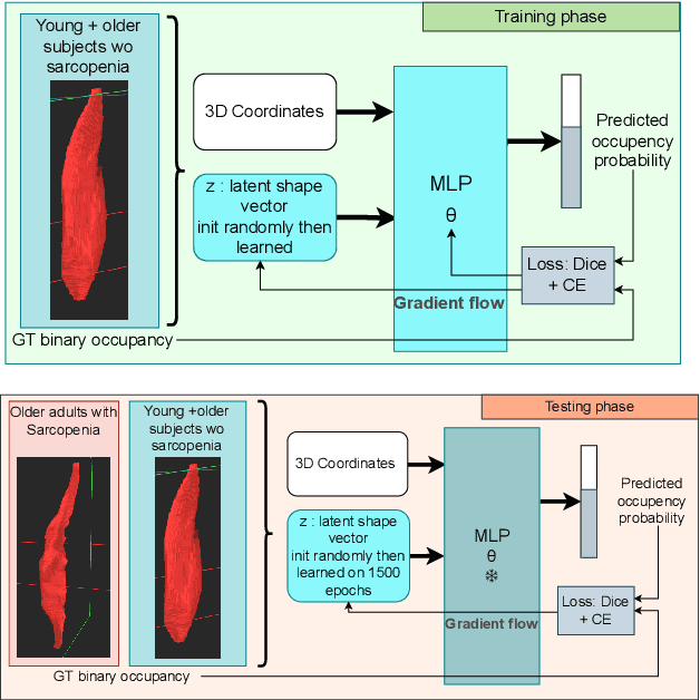 Figure 1 for Unsupervised Anomaly Detection on Implicit Shape representations for Sarcopenia Detection
