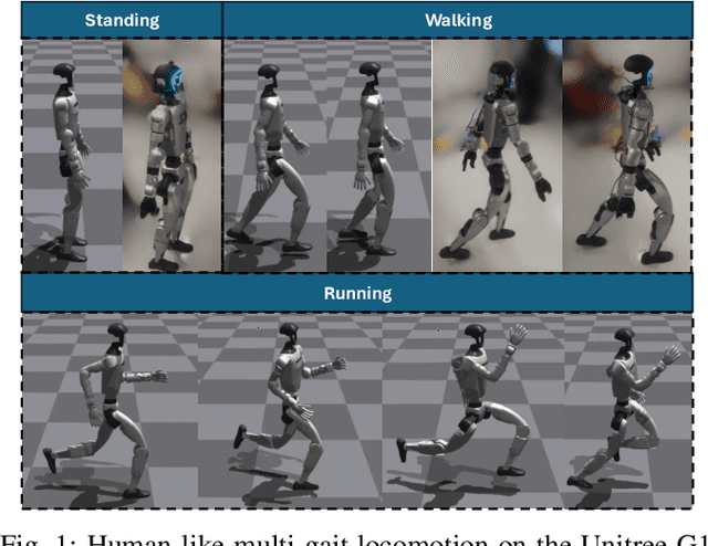 Figure 1 for Gait-Conditioned Reinforcement Learning with Multi-Phase Curriculum for Humanoid Locomotion