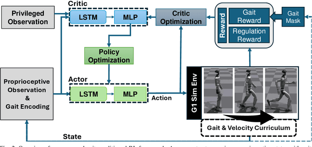 Figure 2 for Gait-Conditioned Reinforcement Learning with Multi-Phase Curriculum for Humanoid Locomotion