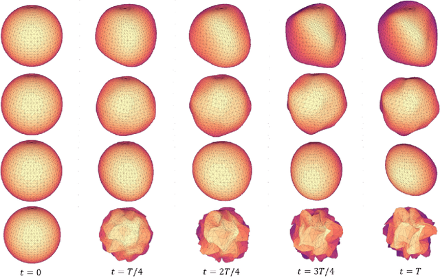 Figure 2 for A function space perspective on stochastic shape evolution