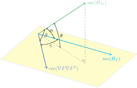 Figure 1 for Hessian-based Similarity Metric for Multimodal Medical Image Registration