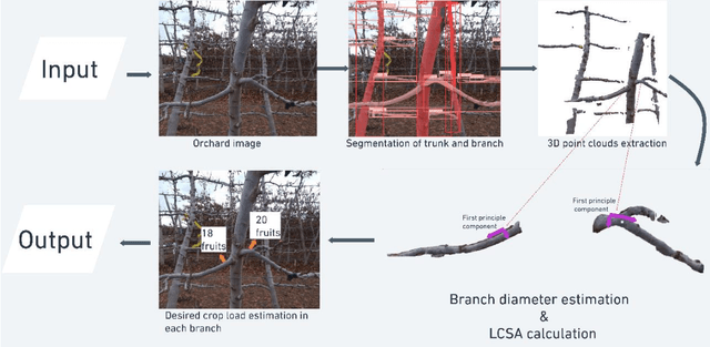 Figure 1 for Machine Vision-Based Crop-Load Estimation Using YOLOv8