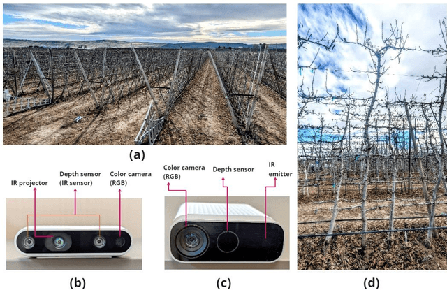 Figure 3 for Machine Vision-Based Crop-Load Estimation Using YOLOv8