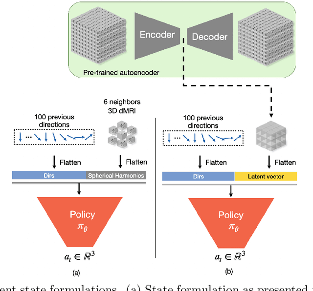 Figure 1 for Exploring the robustness of TractOracle methods in RL-based tractography