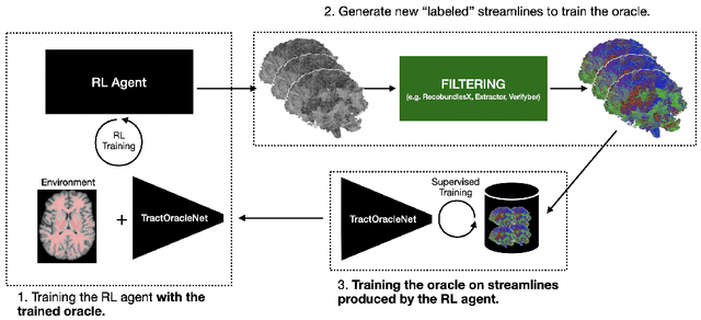 Figure 3 for Exploring the robustness of TractOracle methods in RL-based tractography