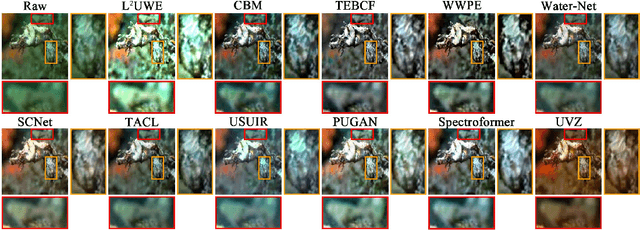 Figure 1 for Underwater Variable Zoom: Depth-Guided Perception Network for Underwater Image Enhancement