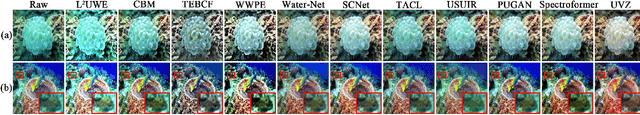 Figure 2 for Underwater Variable Zoom: Depth-Guided Perception Network for Underwater Image Enhancement