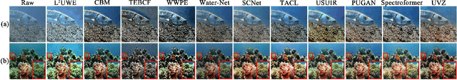 Figure 4 for Underwater Variable Zoom: Depth-Guided Perception Network for Underwater Image Enhancement