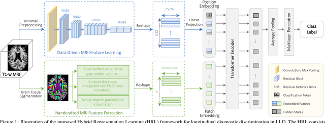 Figure 1 for Hybrid Representation Learning for Cognitive Diagnosis in Late-Life Depression Over 5 Years with Structural MRI