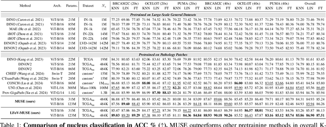 Figure 2 for MUSE: Multi-Scale Dense Self-Distillation for Nucleus Detection and Classification