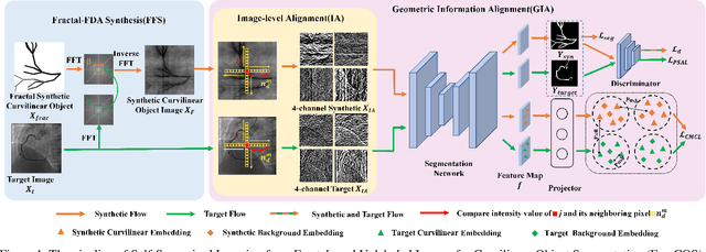 Figure 1 for FreeCOS: Self-Supervised Learning from Fractals and Unlabeled Images for Curvilinear Object Segmentation