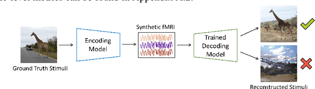 Figure 4 for MindSimulator: Exploring Brain Concept Localization via Synthetic FMRI
