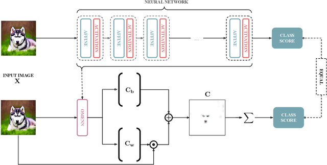 Figure 3 for OMENN: One Matrix to Explain Neural Networks