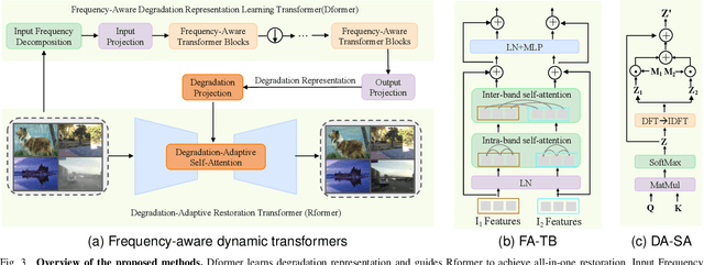 Figure 3 for Learning Frequency-Aware Dynamic Transformers for All-In-One Image Restoration