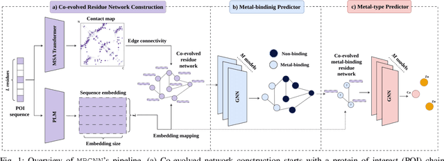 Figure 1 for Co-evolution-based Metal-binding Residue Prediction with Graph Neural Networks