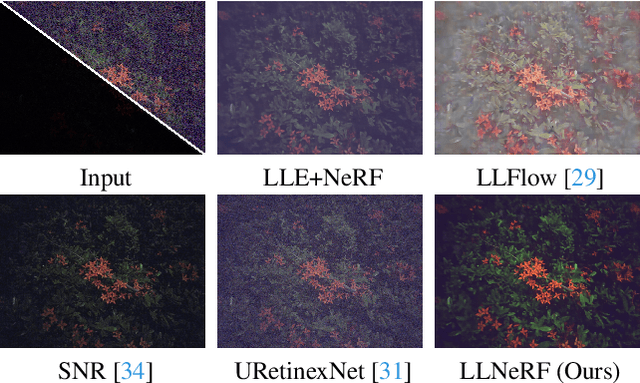 Figure 1 for Lighting up NeRF via Unsupervised Decomposition and Enhancement