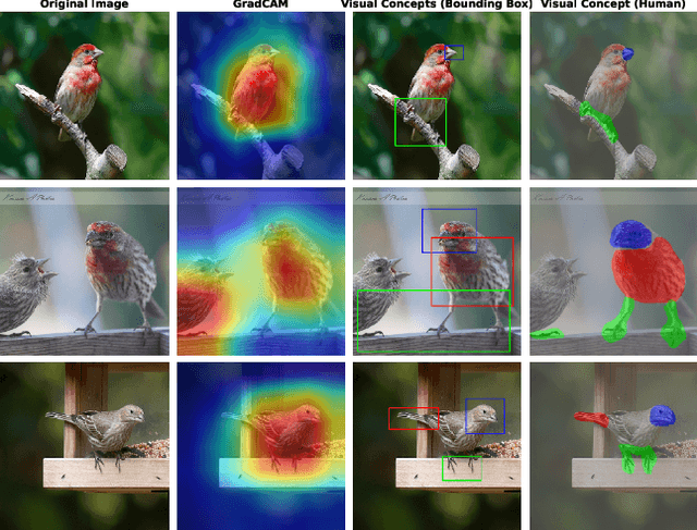 Figure 1 for Learning Interpretable Logic Rules from Deep Vision Models