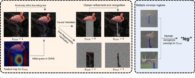 Figure 3 for Learning Interpretable Logic Rules from Deep Vision Models