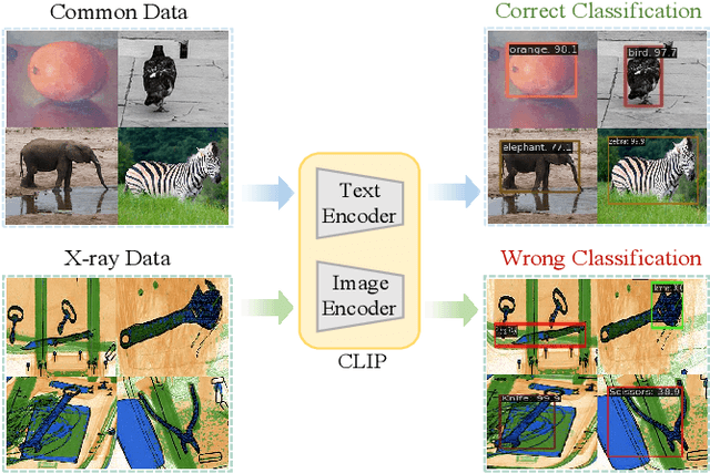 Figure 2 for Open-Vocabulary X-ray Prohibited Item Detection via Fine-tuning CLIP