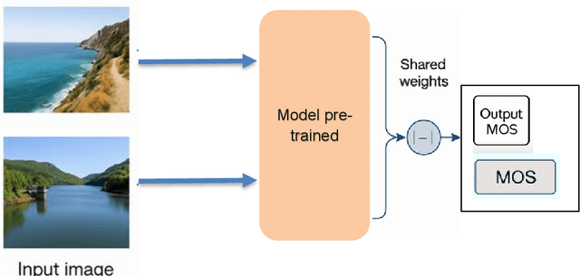 Figure 3 for No-Reference Image Contrast Assessment with Customized EfficientNet-B0