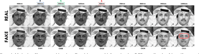 Figure 1 for Exposing DeepFakes via Hyperspectral Domain Mapping