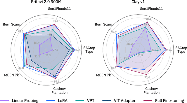 Figure 1 for Fine-tune Smarter, Not Harder: Parameter-Efficient Fine-Tuning for Geospatial Foundation Models