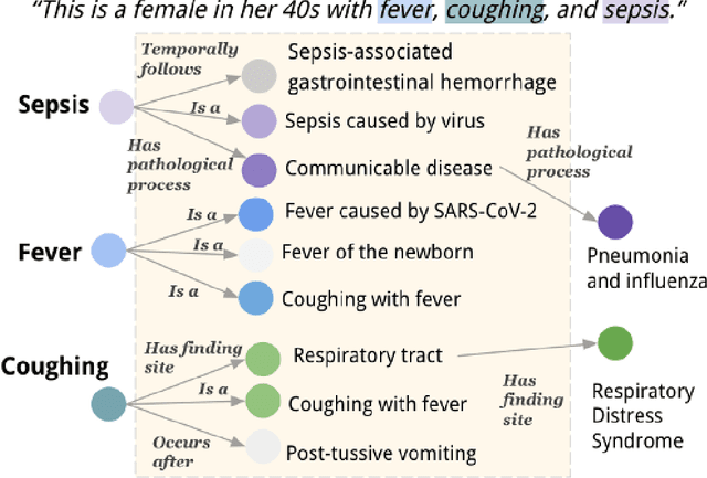 Figure 3 for Leveraging A Medical Knowledge Graph into Large Language Models for Diagnosis Prediction