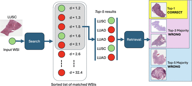Figure 1 for On Validation of Search & Retrieval of Tissue Images in Digital Pathology