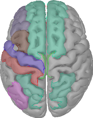 Figure 2 for ESI-GAL: EEG Source Imaging-based Kinematics Parameter Estimation for Grasp and Lift Task