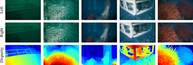 Figure 3 for UWStereo: A Large Synthetic Dataset for Underwater Stereo Matching