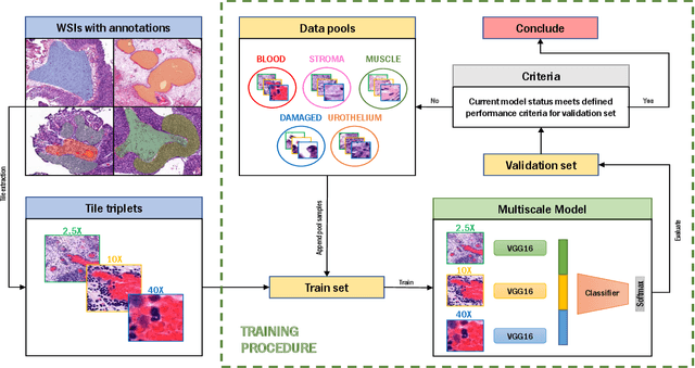Figure 1 for Active Learning Based Domain Adaptation for Tissue Segmentation of Histopathological Images