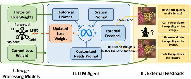 Figure 1 for LossAgent: Towards Any Optimization Objectives for Image Processing with LLM Agents