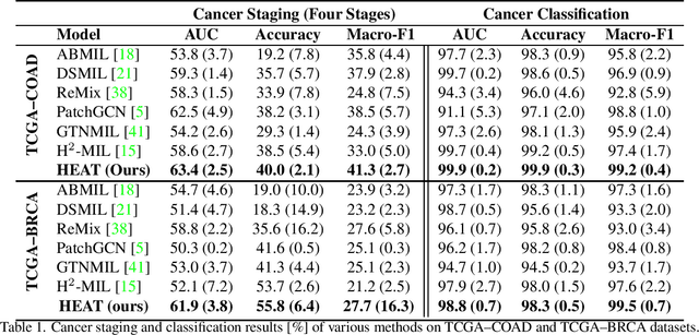 Figure 2 for Histopathology Whole Slide Image Analysis with Heterogeneous Graph Representation Learning