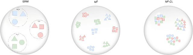 Figure 2 for Multi-Scale and Multi-Layer Contrastive Learning for Domain Generalization