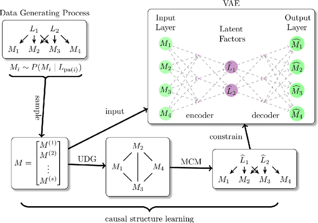 Figure 1 for Neuro-Causal Factor Analysis