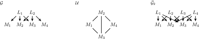 Figure 3 for Neuro-Causal Factor Analysis