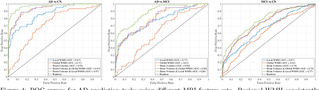 Figure 4 for Deep Learning-Based Regional White Matter Hyperintensity Mapping as a Robust Biomarker for Alzheimer's Disease